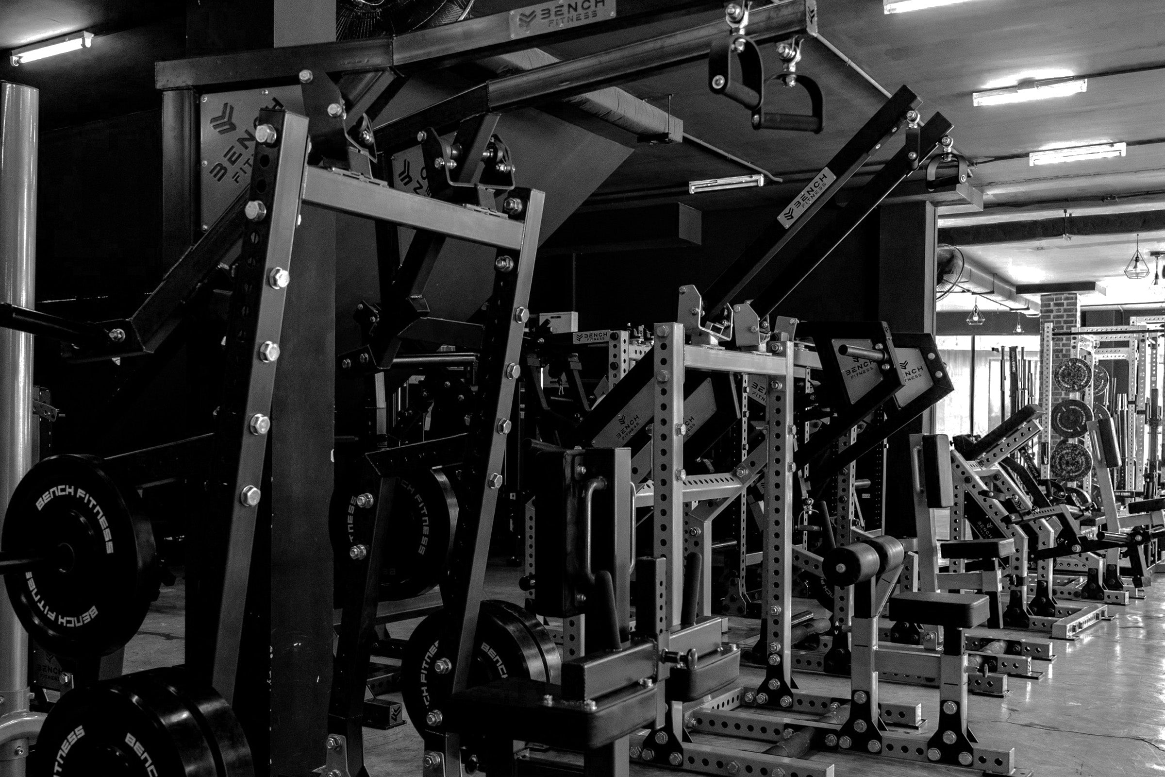 Exceed Back View Back – Bench Fitness Equipment