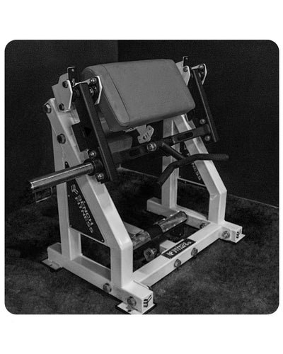 EXCEED V2 ISO Leg Extension (Signature Frame) – Bench Fitness