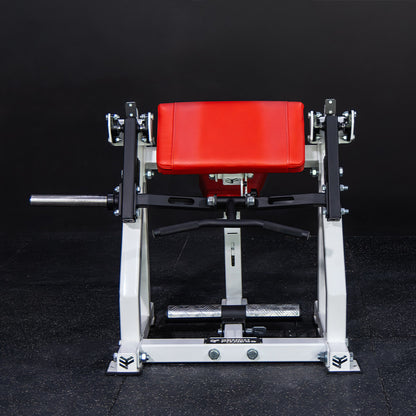 EXCEED V2 Seated Bicep (Classic Frame) – view 5 – Bench Fitness